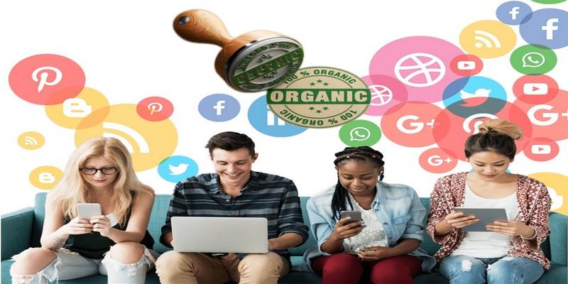 organic marketing article